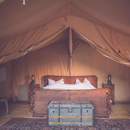 Moselglamping Hotell Traben-Trarbach Exteriör bild