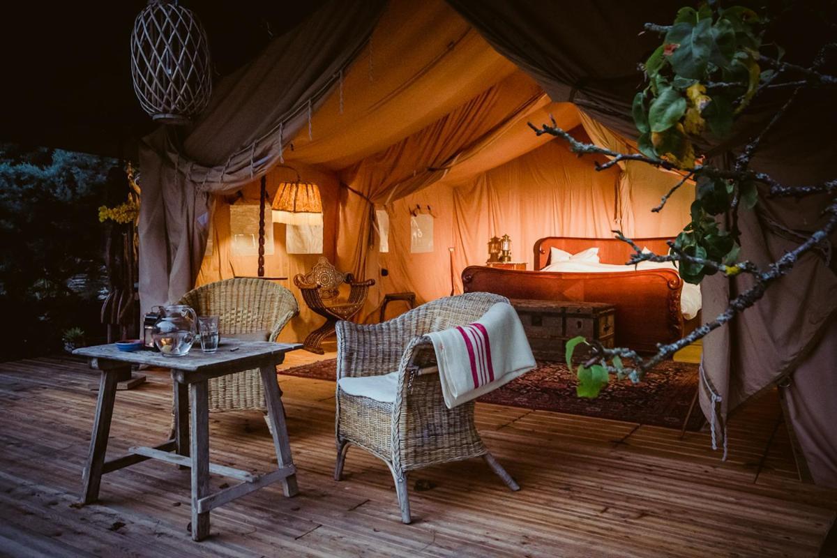 Moselglamping Hotell Traben-Trarbach Exteriör bild