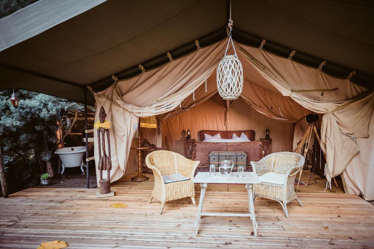 Moselglamping Hotell Traben-Trarbach Exteriör bild